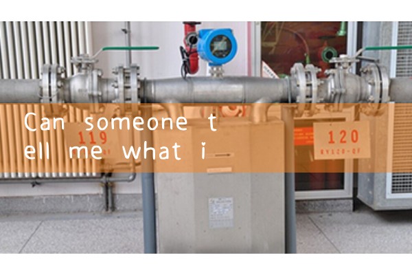 Hydrogen mass flowmeter manufacturer
